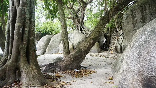 Foto e0