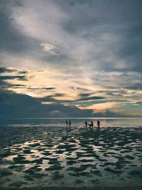 Foto e8